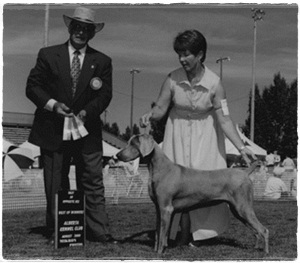 Ch Nanis Leith Future Impact